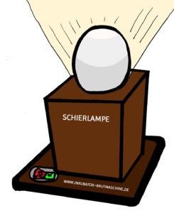 Schierlampe - Eier Prüflampe